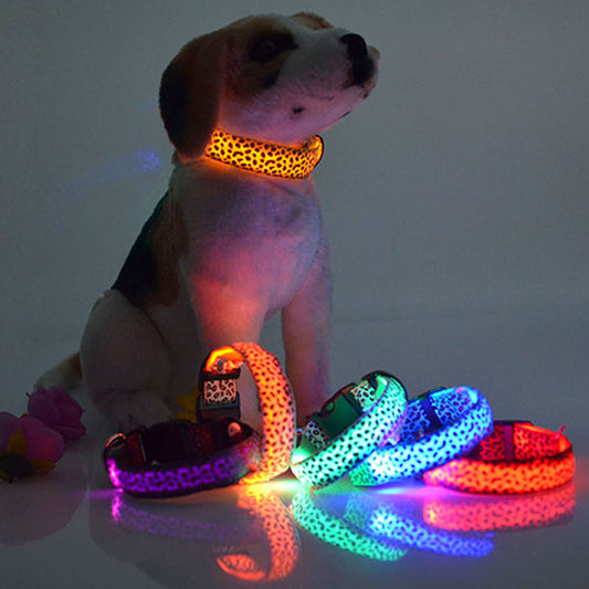 Luminous Leopard Dog Collar Set