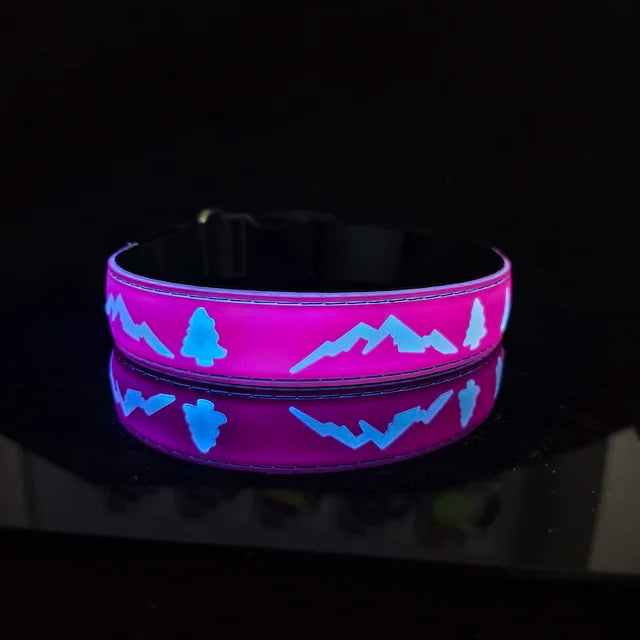 Rechargeable LED Light Collar: For Safe Night Walks