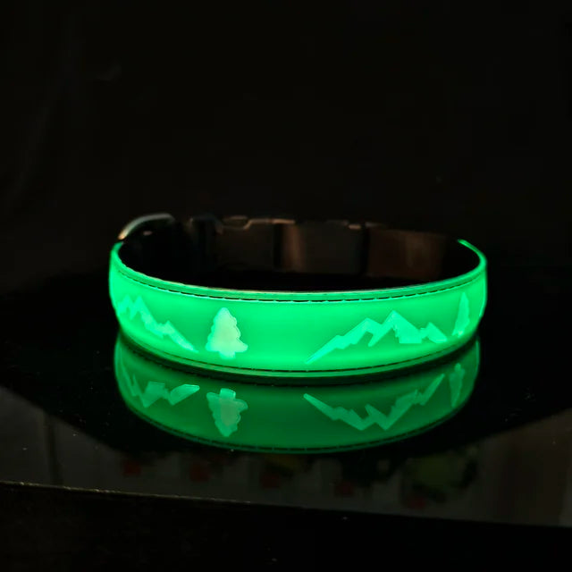 Rechargeable LED Light Collar: For Safe Night Walks