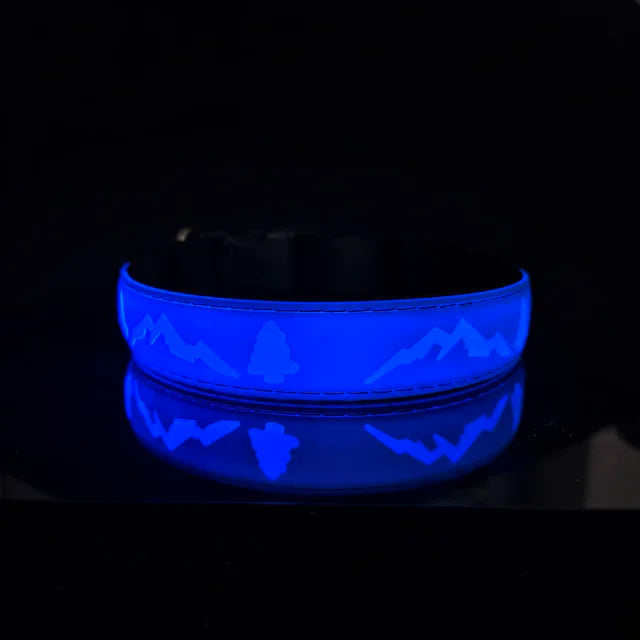 Rechargeable LED Light Collar: For Safe Night Walks