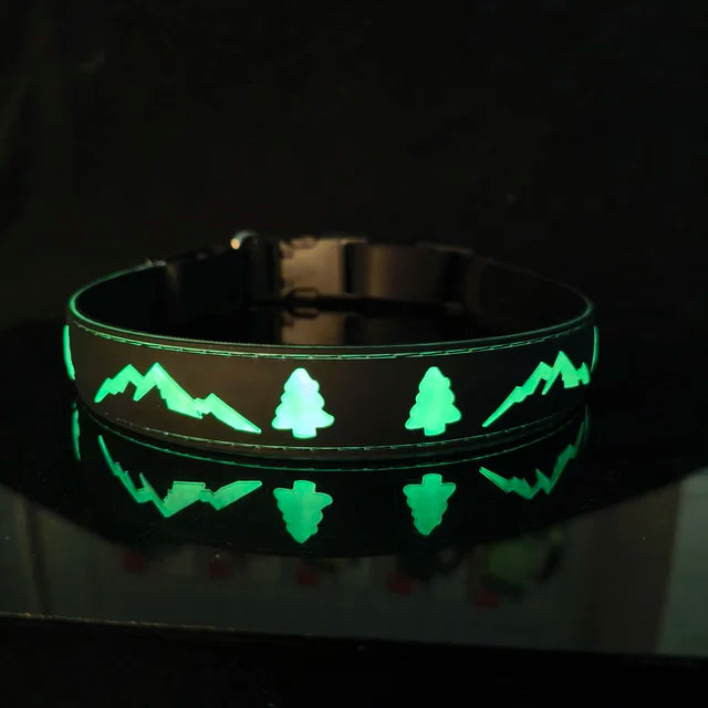 Rechargeable LED Light Collar: For Safe Night Walks