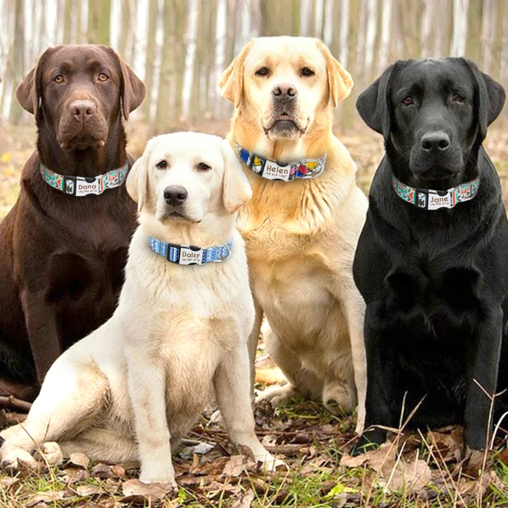 Collier de chien coloré et original, collier d'identification personnalisés, petits, moyens et grands chiens