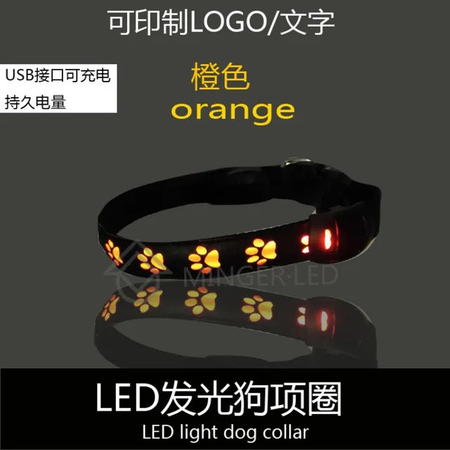 Rechargeable LED Light Collar: For Safe Night Walks