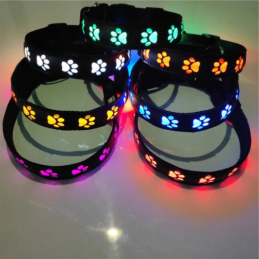 Rechargeable LED Light Collar: For Safe Night Walks