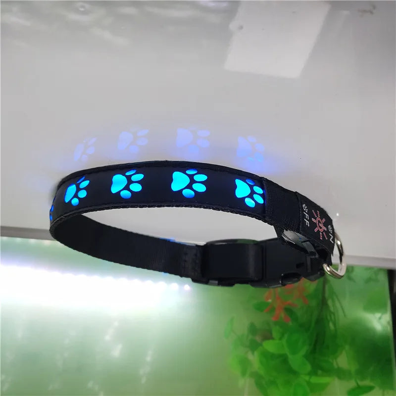 Rechargeable LED Light Collar: For Safe Night Walks