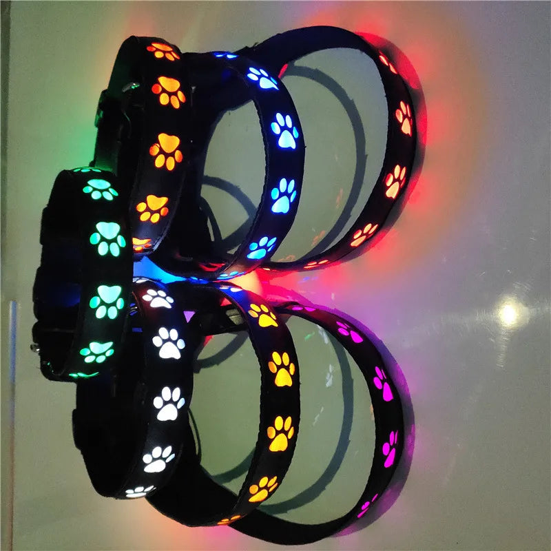 Rechargeable LED Light Collar: For Safe Night Walks