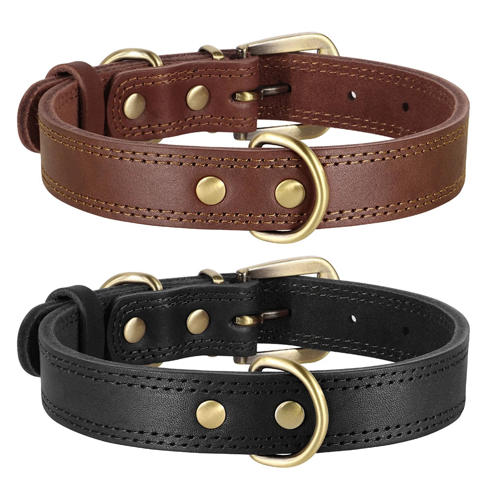 Classic leather collar, comfortable and sturdy