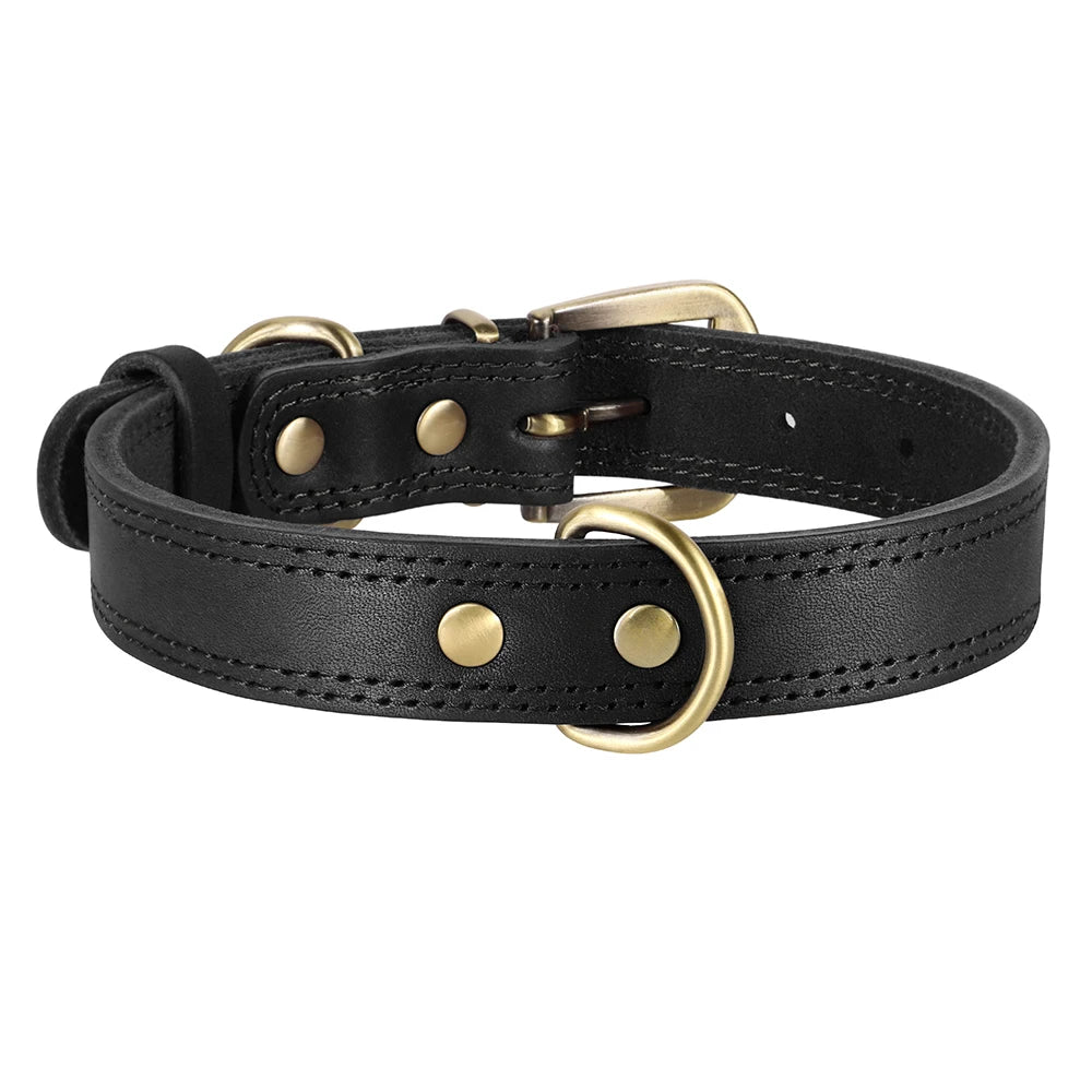 Classic leather collar, comfortable and sturdy