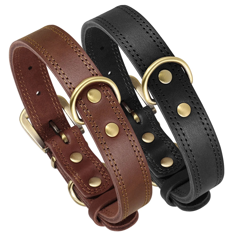 Classic leather collar, comfortable and sturdy