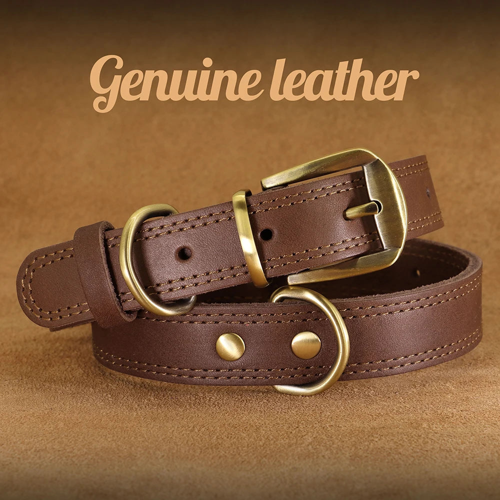 Classic leather collar, comfortable and sturdy