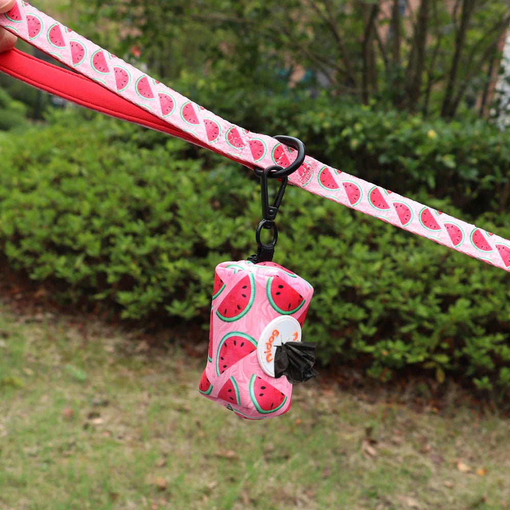 Distributeur de Sacs à Crottes de Chien