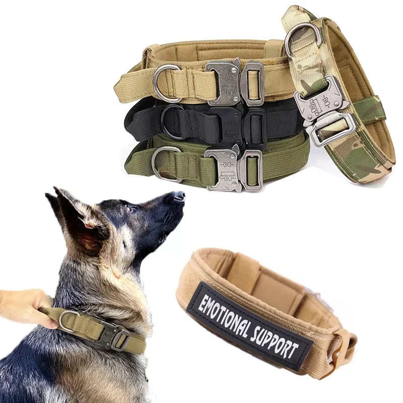 Dog collar with handle and quick release carabiner for Medium and Large Dogs 