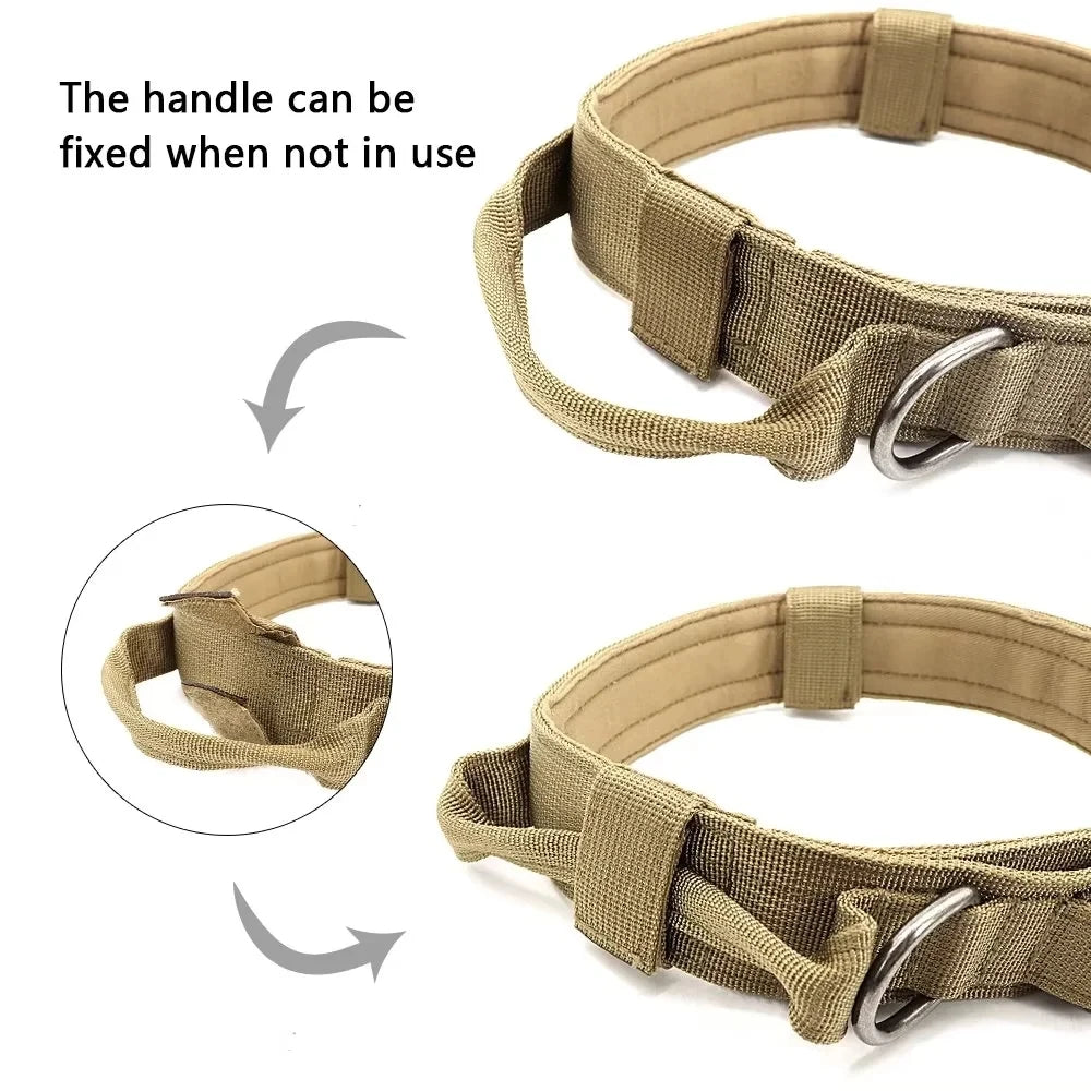 Dog collar with handle and quick release carabiner for Medium and Large Dogs 