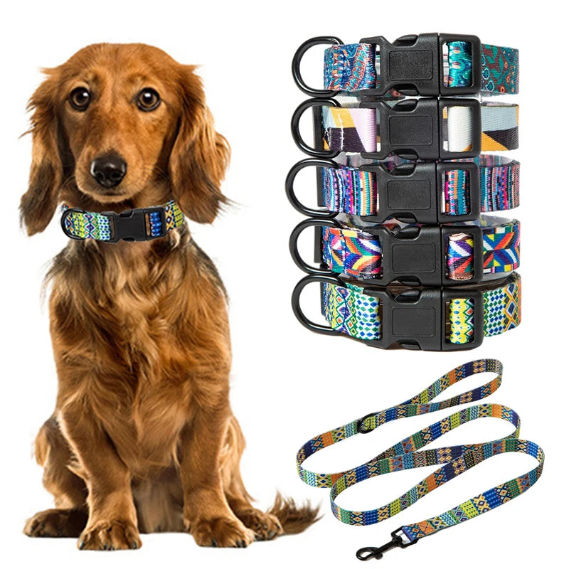 Dog collar and leash set, chic &amp; bohemian style