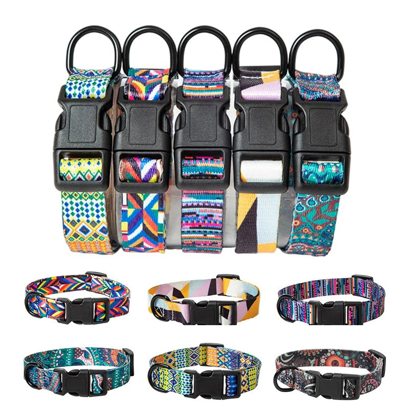 Dog collar and leash set, chic &amp; bohemian style