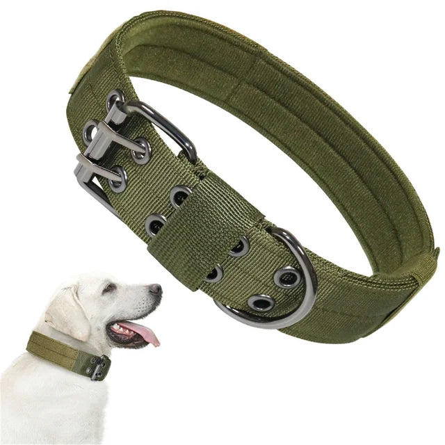 Beautiful dog collar, sturdy, adjustable and comfortable