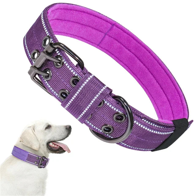 Beautiful dog collar, sturdy, adjustable and comfortable