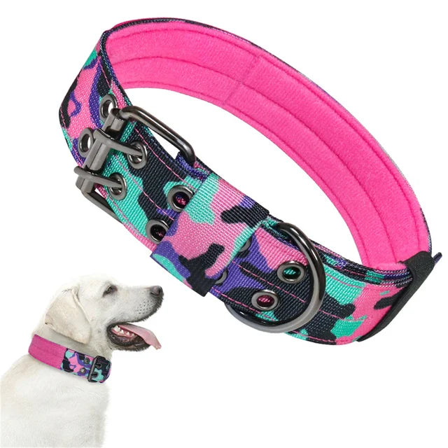 Beautiful dog collar, sturdy, adjustable and comfortable