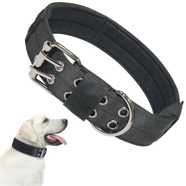 Beautiful dog collar, sturdy, adjustable and comfortable