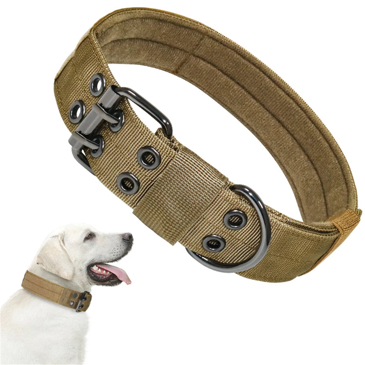 Beautiful dog collar, sturdy, adjustable and comfortable