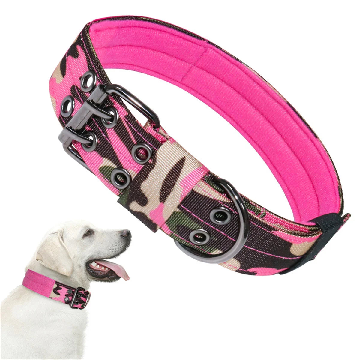 Beautiful dog collar, sturdy, adjustable and comfortable