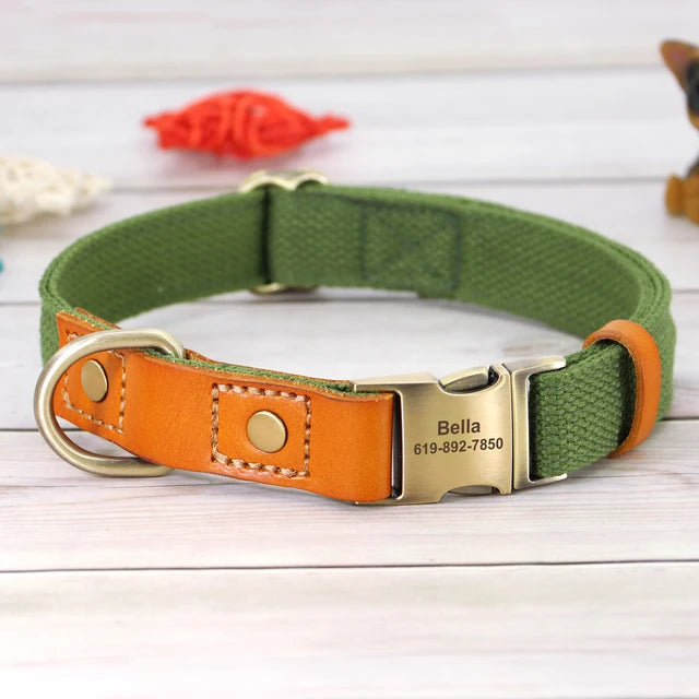 Personalized Dog Puppy Collar and Leash Set, ID Accessories, Personalized Collars 