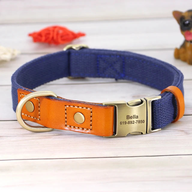 Personalized Dog Puppy Collar and Leash Set, ID Accessories, Personalized Collars 