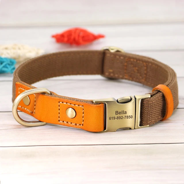 Personalized Dog Puppy Collar and Leash Set, ID Accessories, Personalized Collars 