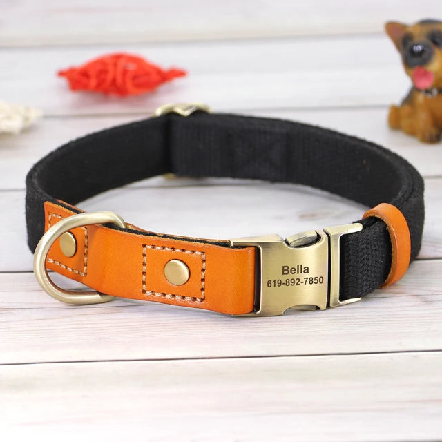 Personalized Dog Puppy Collar and Leash Set, ID Accessories, Personalized Collars 