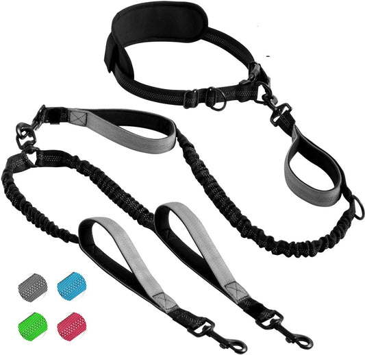 Hands-free leash for 2 dogs