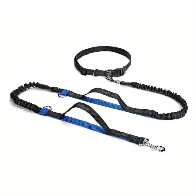 Hands-free dog leash run and walk with your dog without discomfort