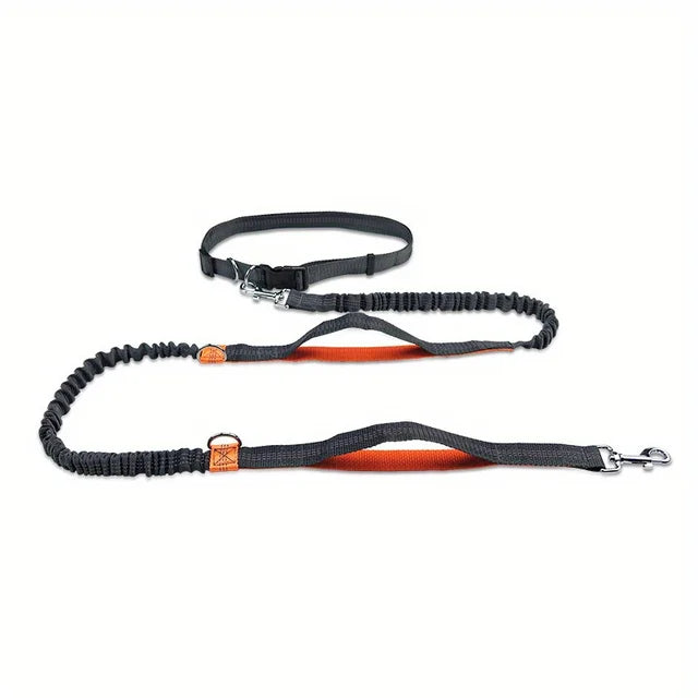 Hands-free dog leash run and walk with your dog without discomfort