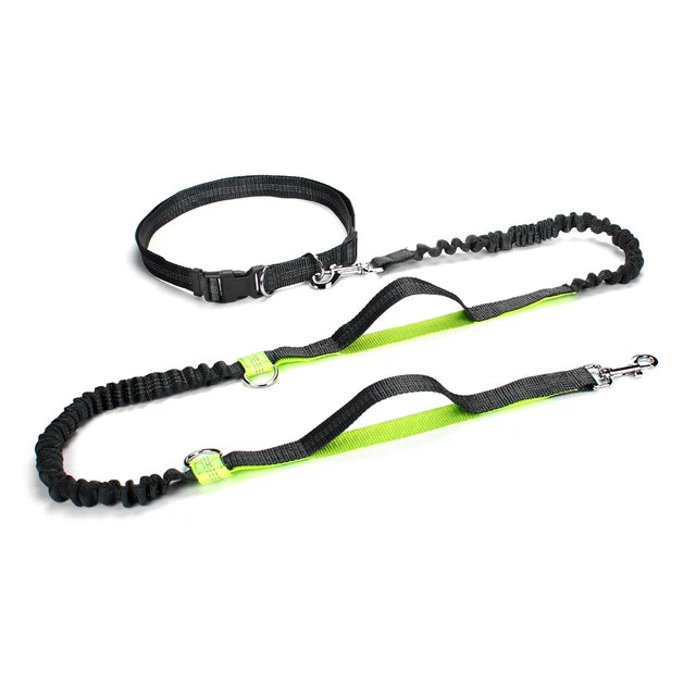 Hands-free dog leash run and walk with your dog without discomfort