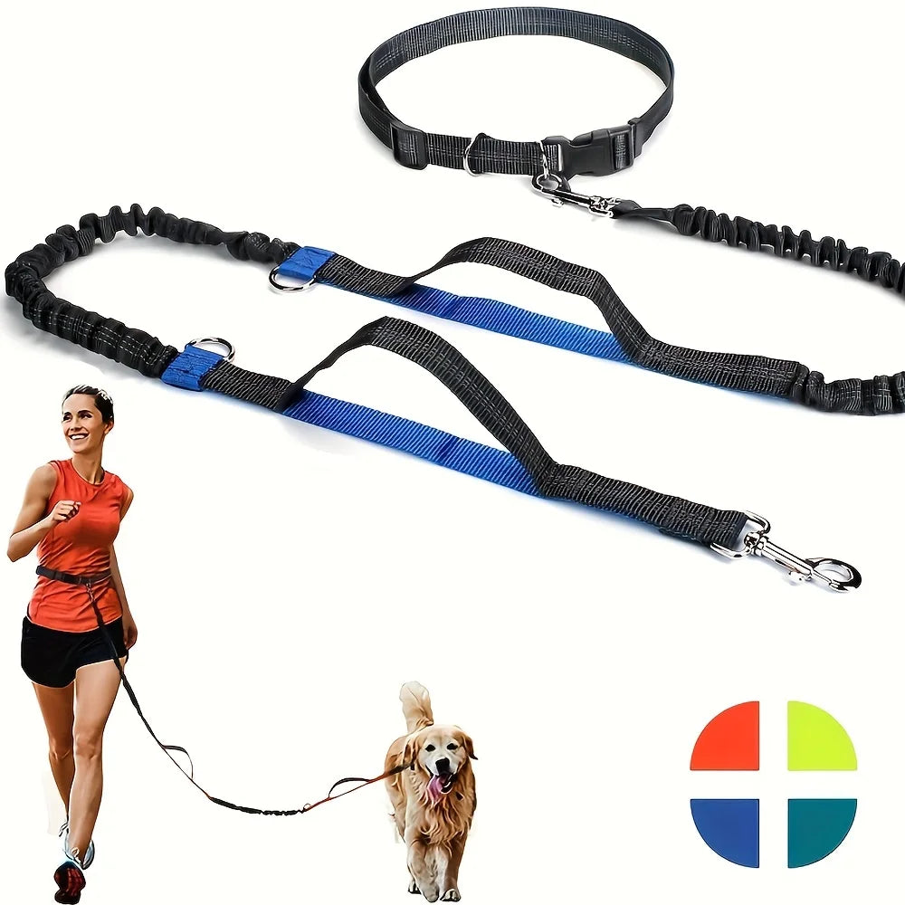 Hands-free dog leash run and walk with your dog without discomfort