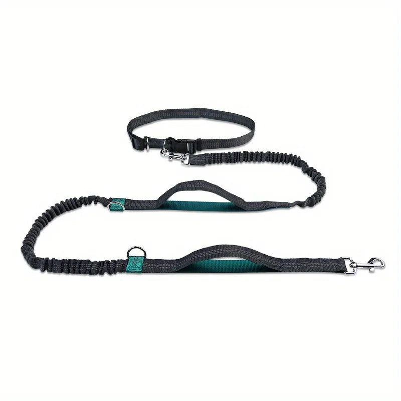 Hands-free dog leash run and walk with your dog without discomfort