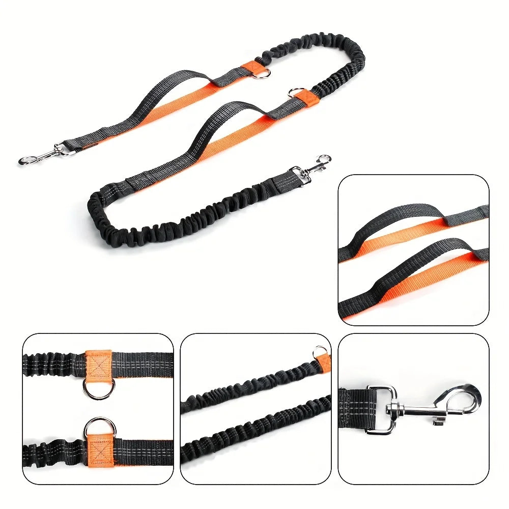 Hands-free dog leash run and walk with your dog without discomfort