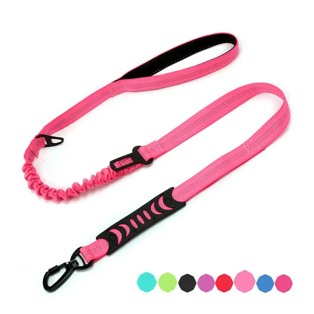 Multifunctional dog leash with: comfortable handle, elastic for shock absorption, seat belt clip and secure attachment clip