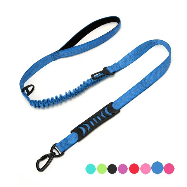 Multifunctional dog leash with: comfortable handle, elastic for shock absorption, seat belt clip and secure attachment clip