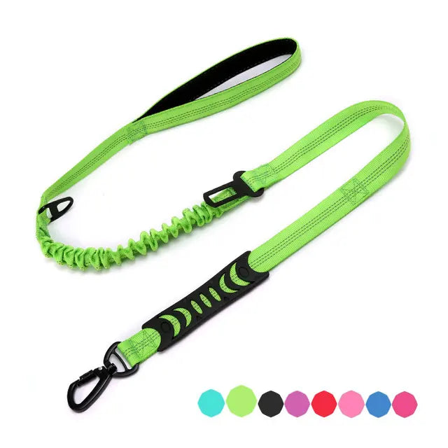 Multifunctional dog leash with: comfortable handle, elastic for shock absorption, seat belt clip and secure attachment clip