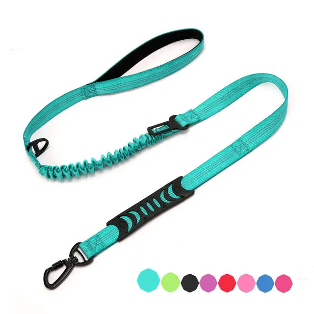 Multifunctional dog leash with: comfortable handle, elastic for shock absorption, seat belt clip and secure attachment clip