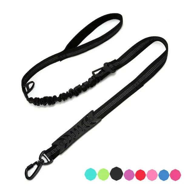 Multifunctional dog leash with: comfortable handle, elastic for shock absorption, seat belt clip and secure attachment clip