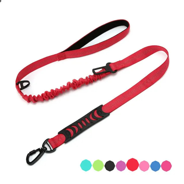 Multifunctional dog leash with: comfortable handle, elastic for shock absorption, seat belt clip and secure attachment clip