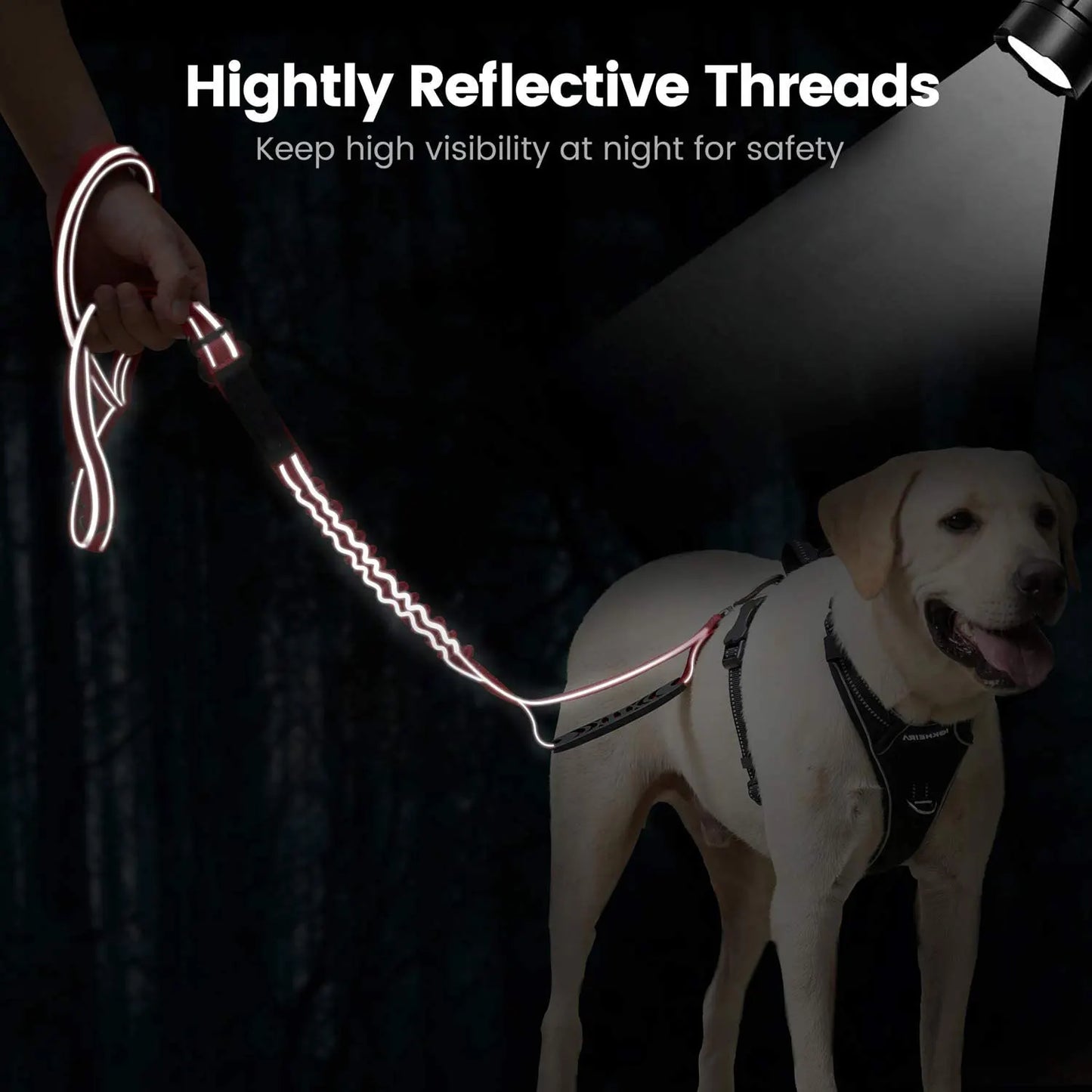 Laisse multifonction pour chien avec :poignée confortable, élastique pour l absorption des chocs, clip de ceinture de sécurité et clip d'attache sécurisé