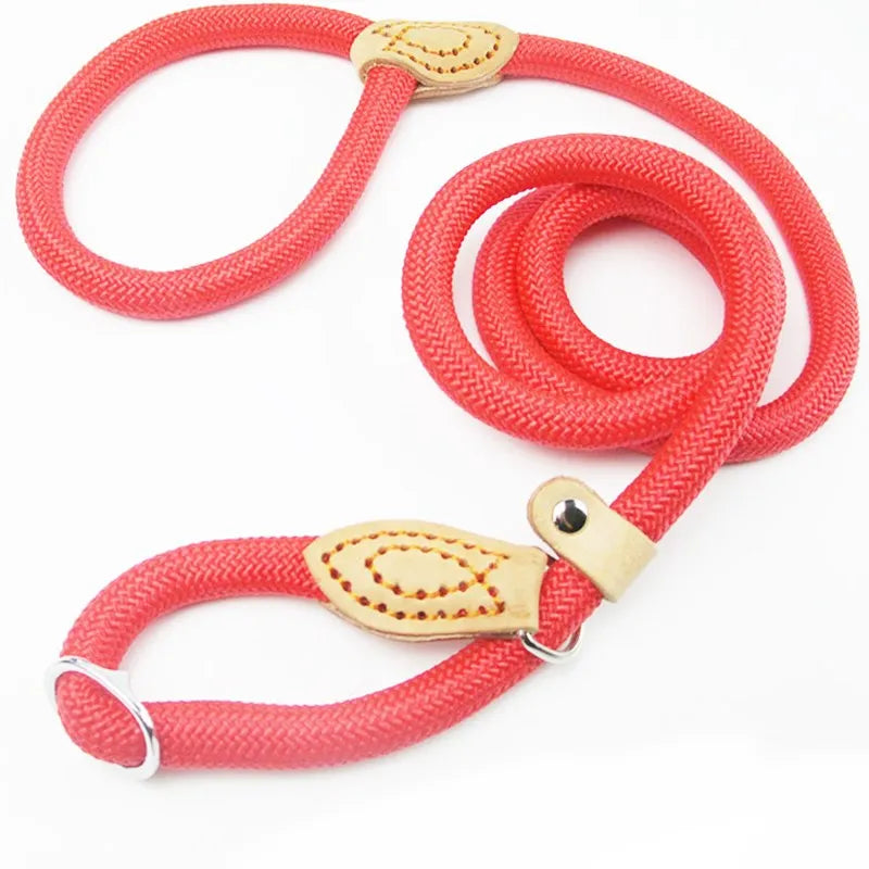 Heavy duty braided rope dog leash for dog training