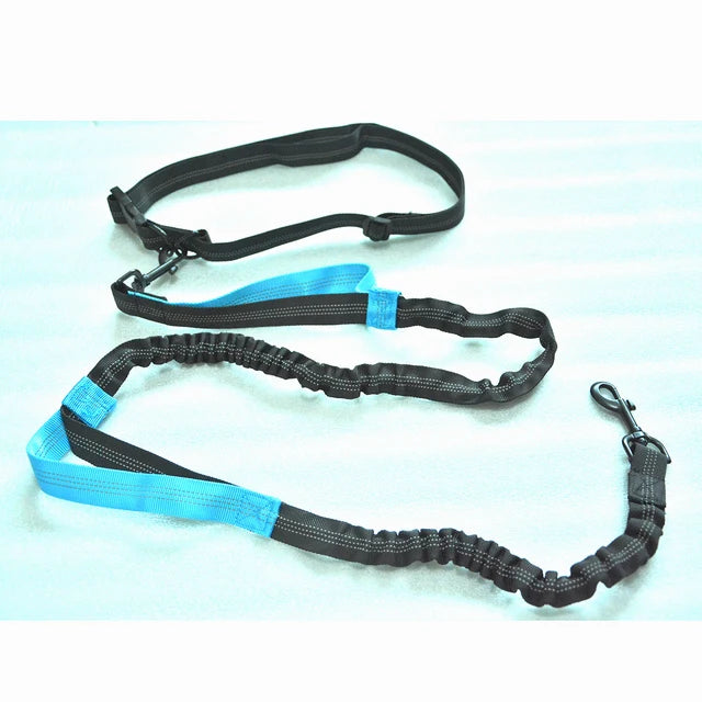 Hands-free dog leash so you can move freely without holding your dog