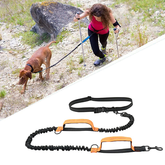 Hands-free dog leash so you can move freely without holding your dog