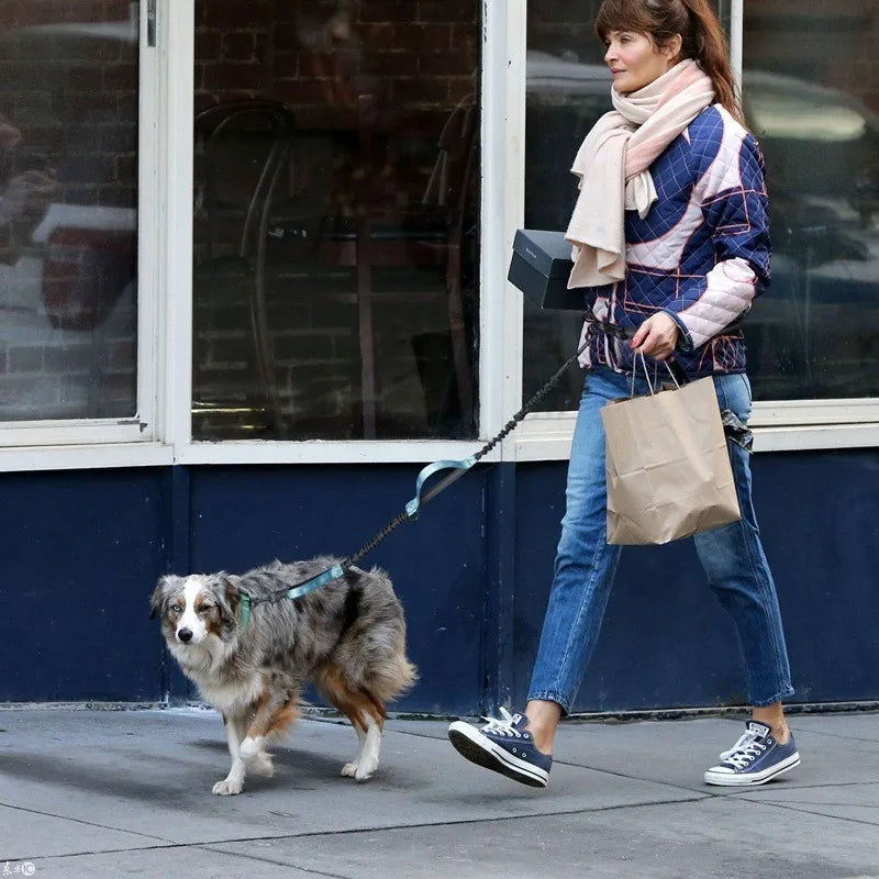 Hands-free dog leash so you can move freely without holding your dog