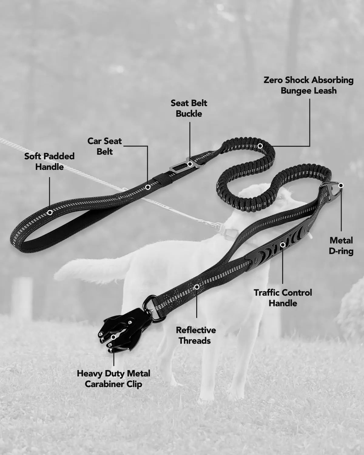 Multifunctional dog leash with: comfortable handle, elastic for shock absorption, seat belt clip and strong attachment clip