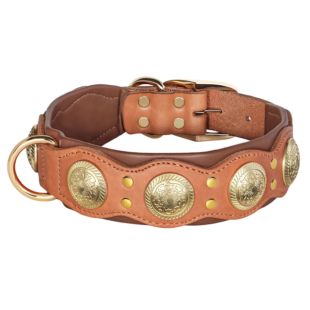 Collier de chien de luxe en cuir, décoré et serti