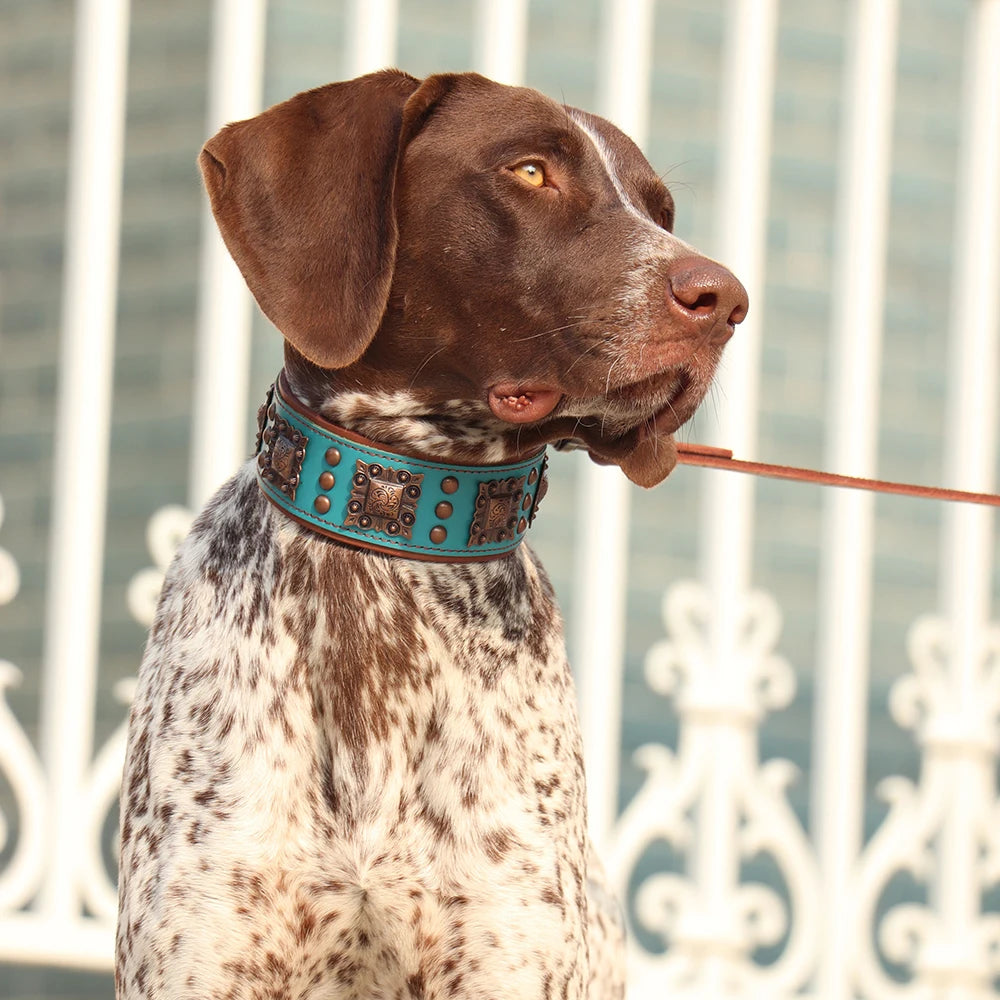 Collier de chien de luxe en cuir, décoré et serti de rivets en métal